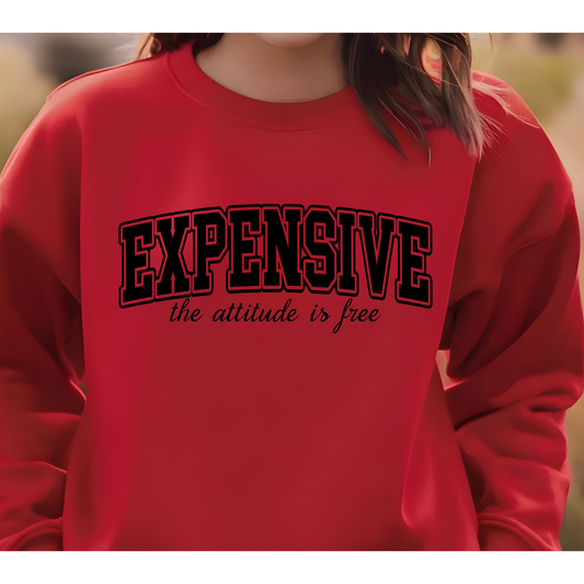 Expensive Attitude is free - C5