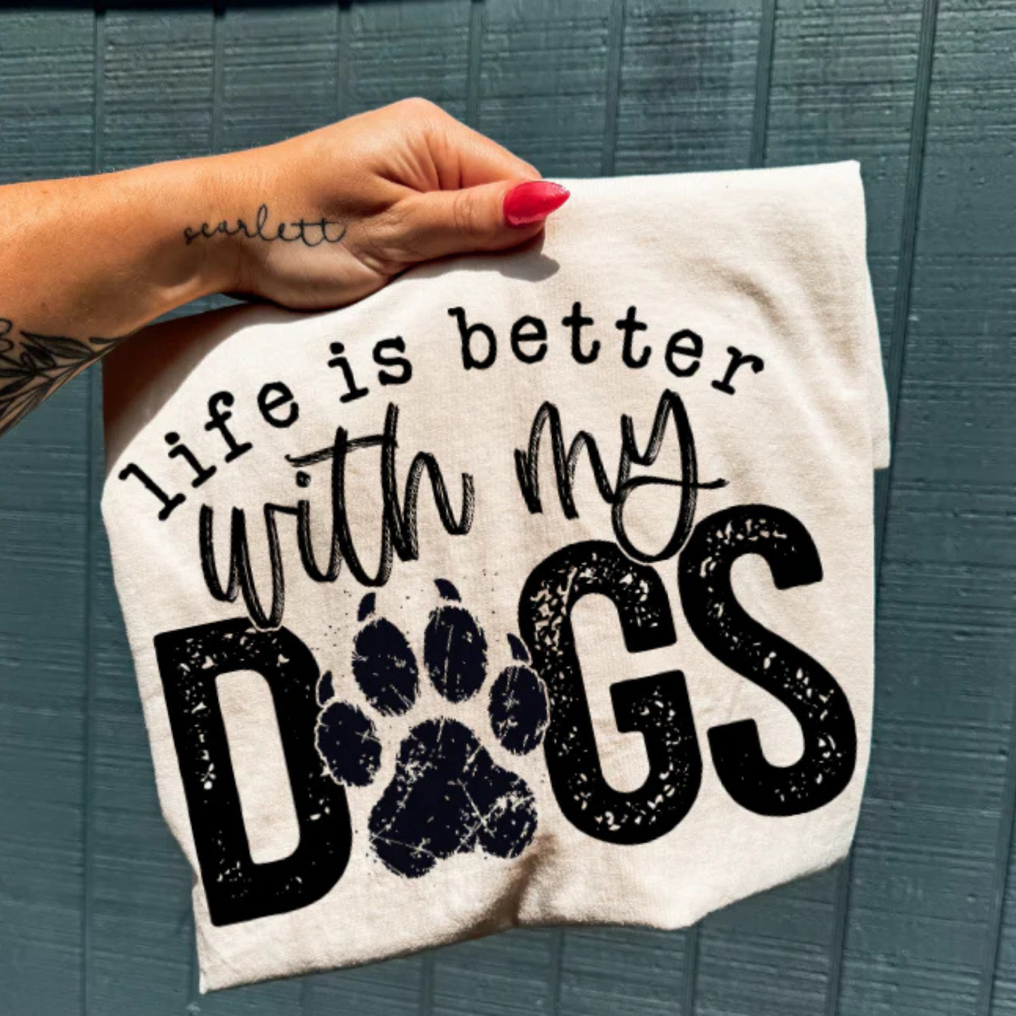 Dogs - B17